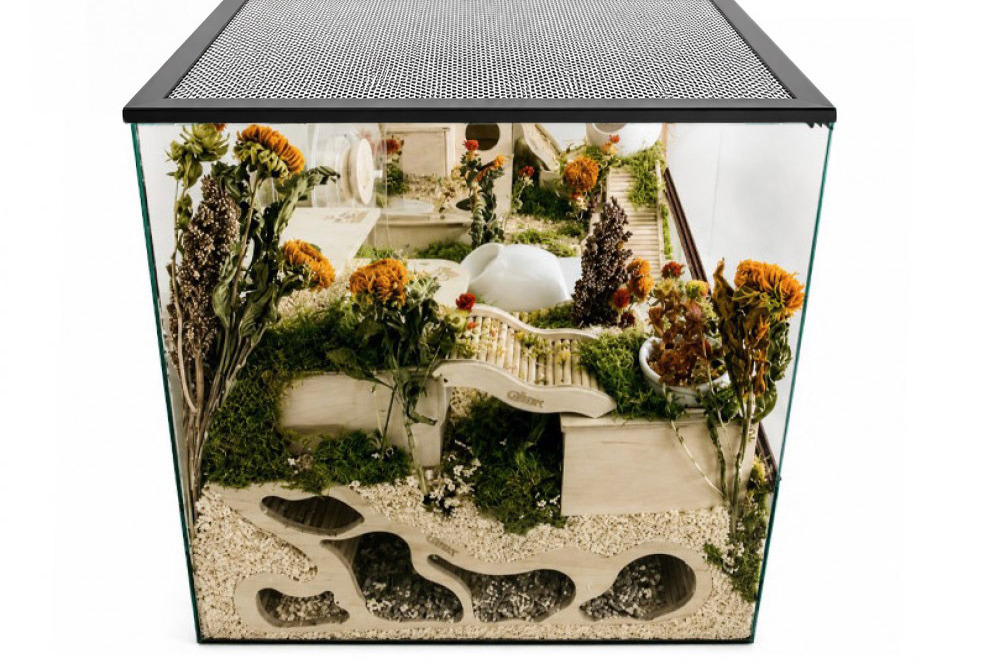 Glirex NatureHome - Terrárium (kisemlősöknek)