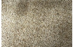 Glirex NatureSeeds - Mezei komócsin (timothy)