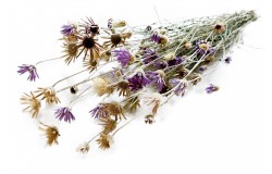 Glirex NatureBundle - Vasvirág 