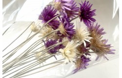 Glirex NatureBundle - Vasvirág - Csapj le rá!