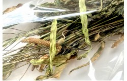 Glirex NatureBundle - Lándzsás útifű - Csapj le rá!