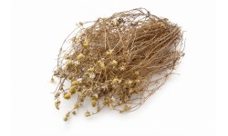 Glirex NatureBundle - Kamillavirág - Csapj le rá!