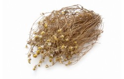 Glirex NatureBundle - Kamillavirág - Csapj le rá!
