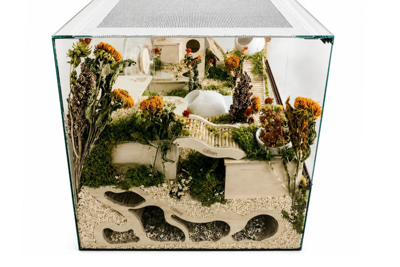 Glirex NatureHome - Terrárium (kisemlősöknek)