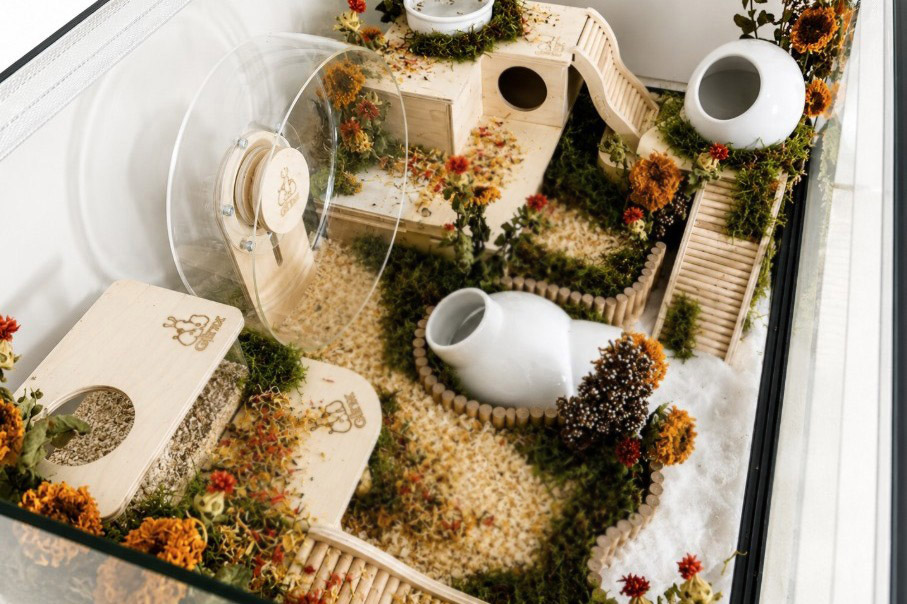 Glirex NatureHome - Terrárium (kisemlősöknek)