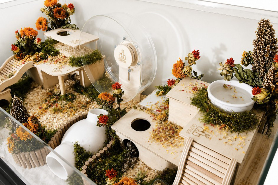 Glirex NatureHome - Terrárium (kisemlősöknek)