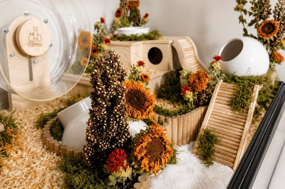 Glirex NatureHome - Terrárium (kisemlősöknek)