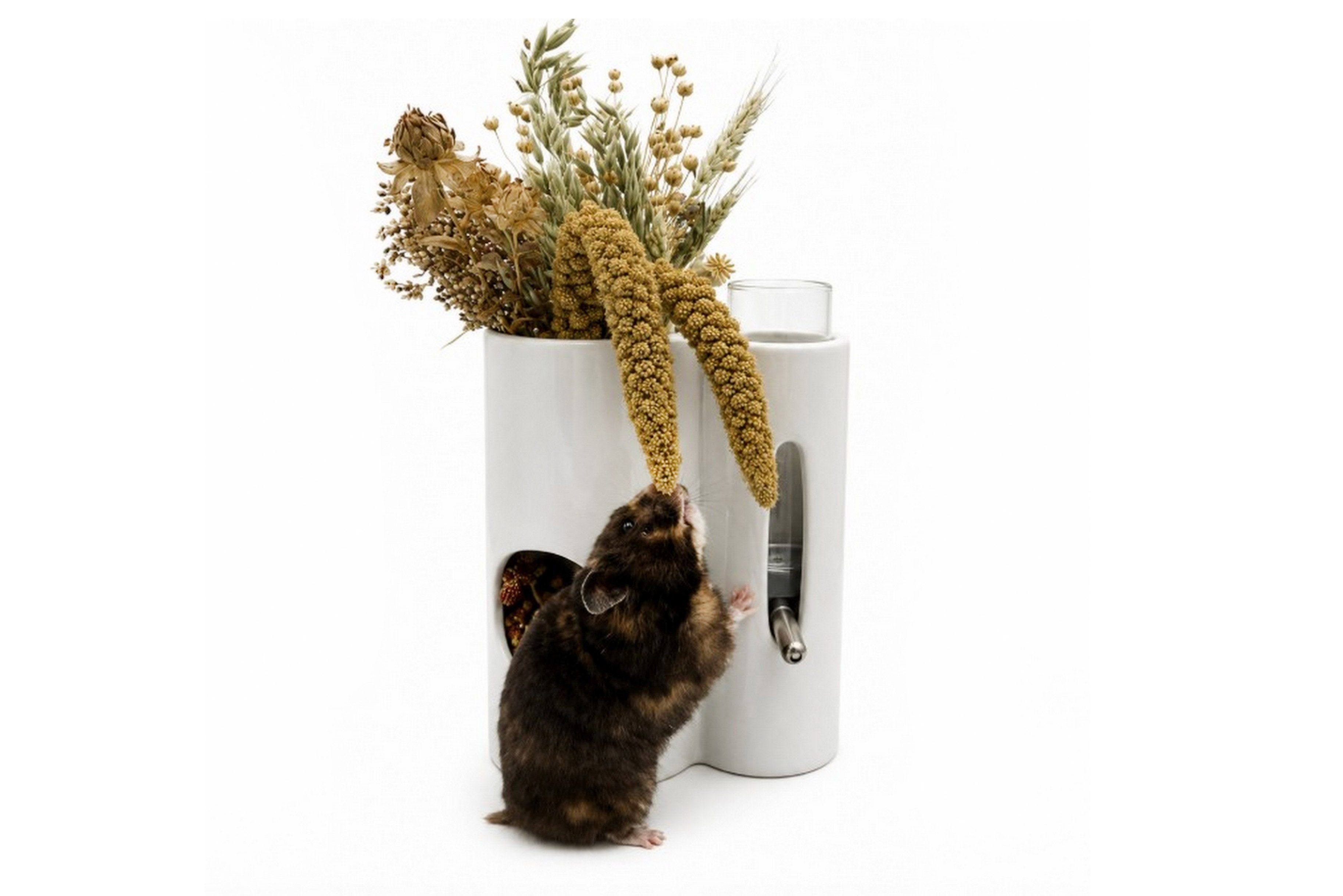 Glirex NatureSupplies - Kerámia eledel- és itatótartó