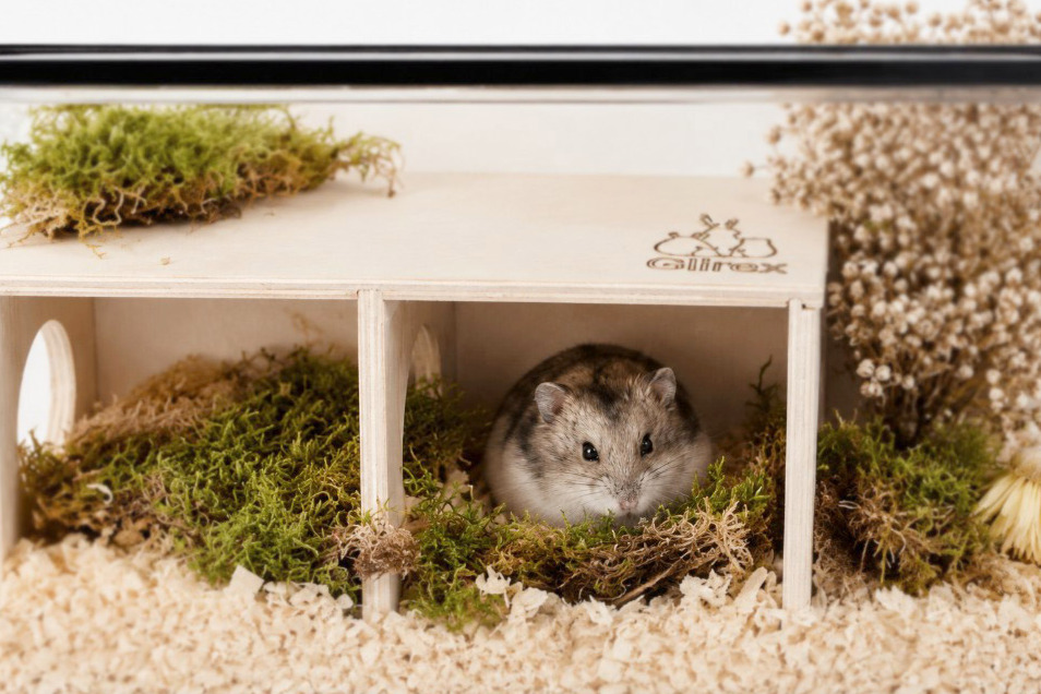 Glirex NatureSupplies - Kétkamrás kukucsház