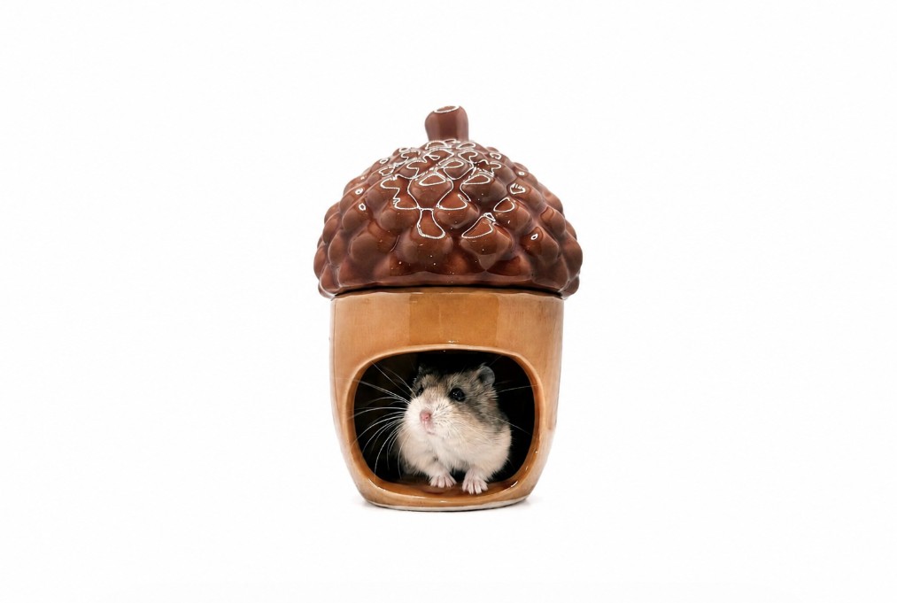 Glirex NatureSupplies - Kerámia makk házikó