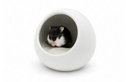 Glirex NatureSupplies - Kerámia gömbhomokozó