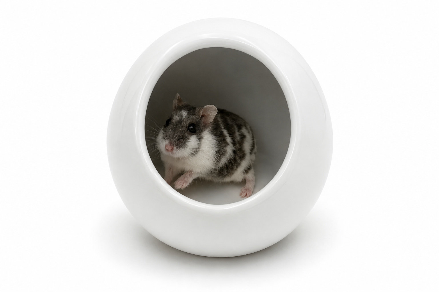 Glirex NatureSupplies - Kerámia gömbház