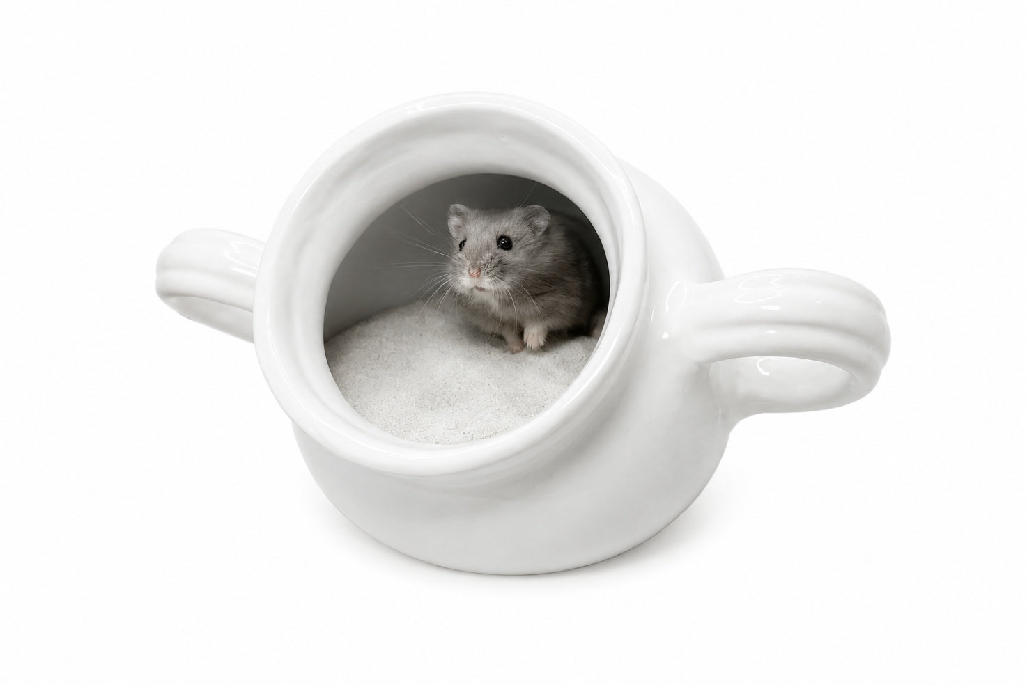 Glirex NatureSupplies - Kerámia csupor homokozó