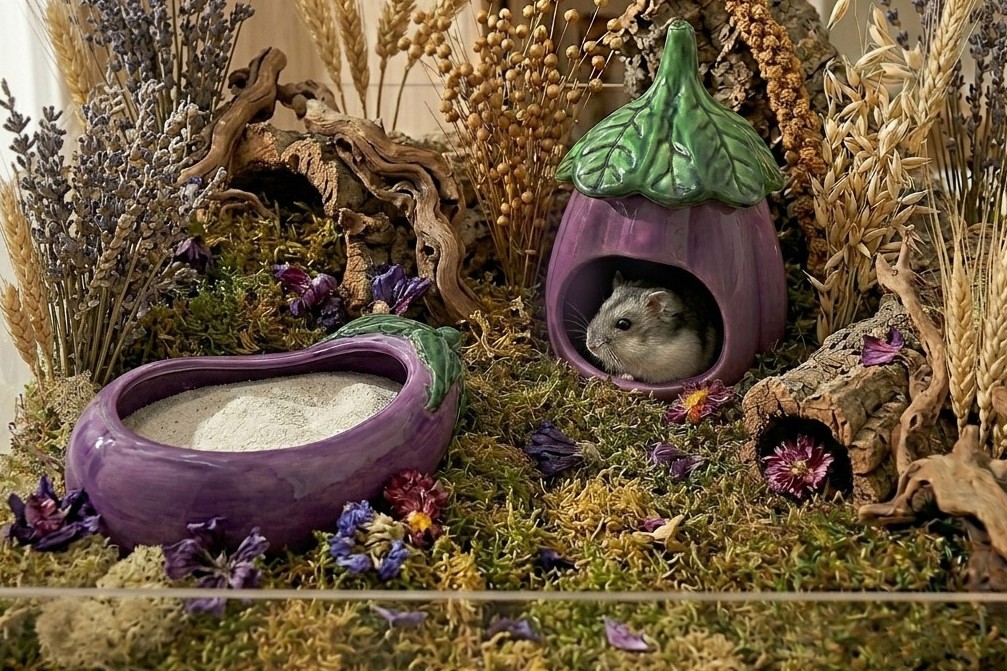 Glirex NatureSupplies - Kerámia padlizsán homokozó