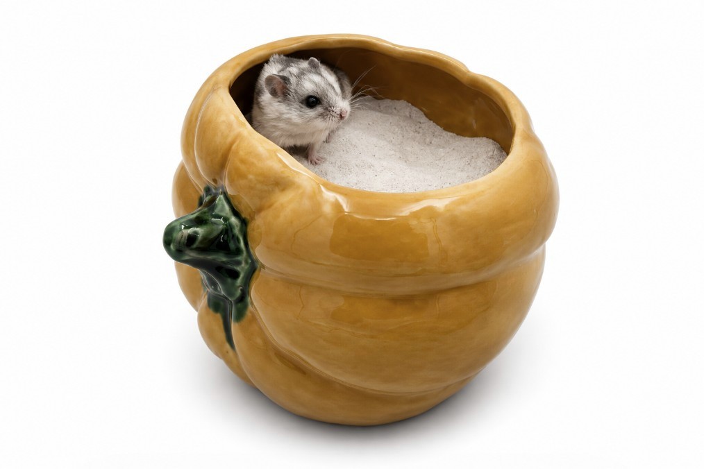 Glirex NatureSupplies - Kerámia tök homokozó