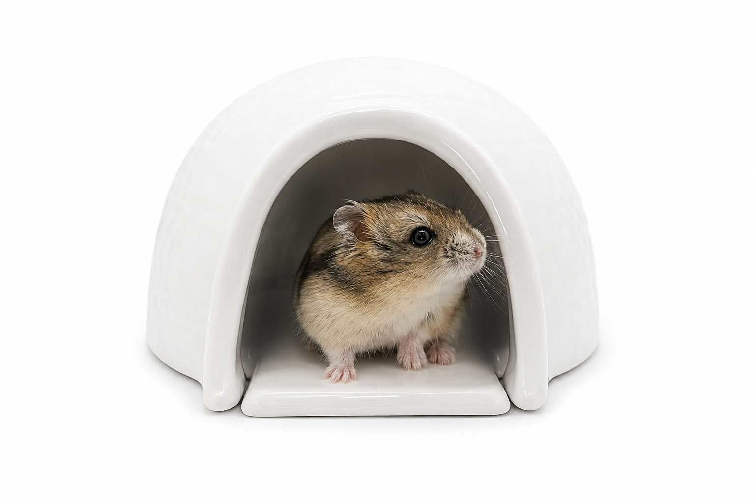 Glirex NatureSupplies - Kerámia iglu hűsítő