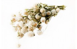 Glirex NatureBundle - Gömbamaránt (fehér)