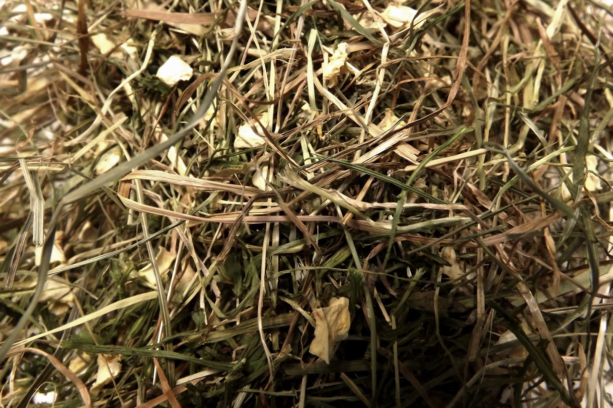 Glirex Hay - Széna zellerzölddel és zellergumóval