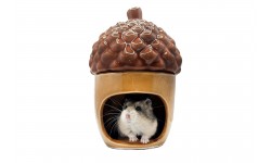 Glirex NatureSupplies - Kerámia makk házikó