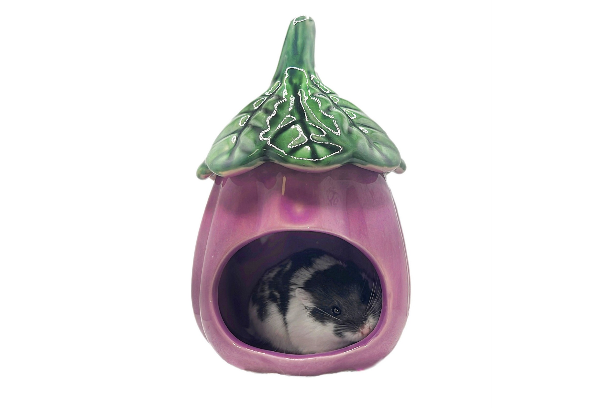 Glirex NatureSupplies - Kerámia padlizsán házikó