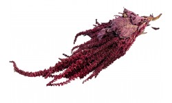 Glirex NatureBundle - Bíbor amaránt