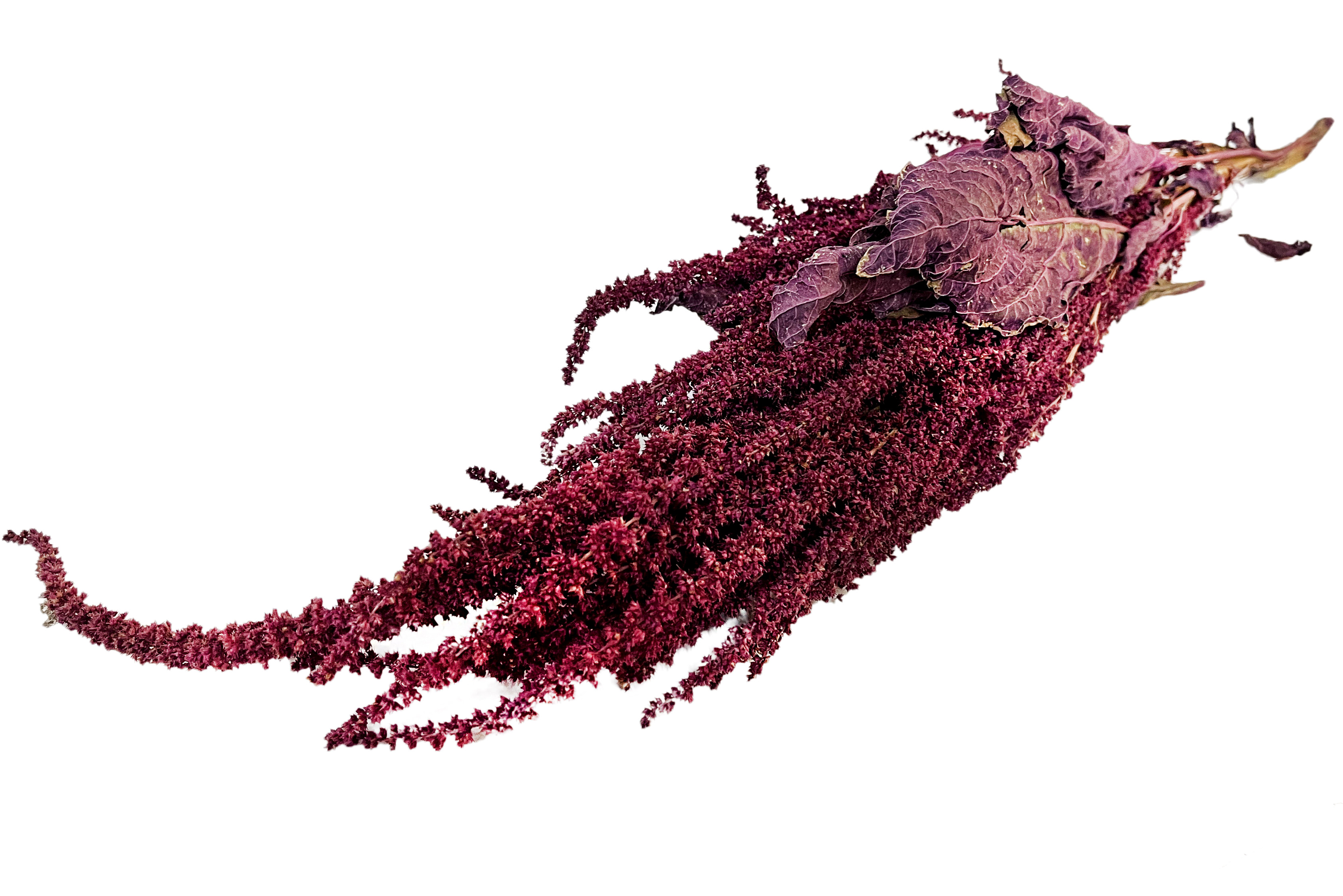 Glirex NatureBundle - Bíbor amaránt