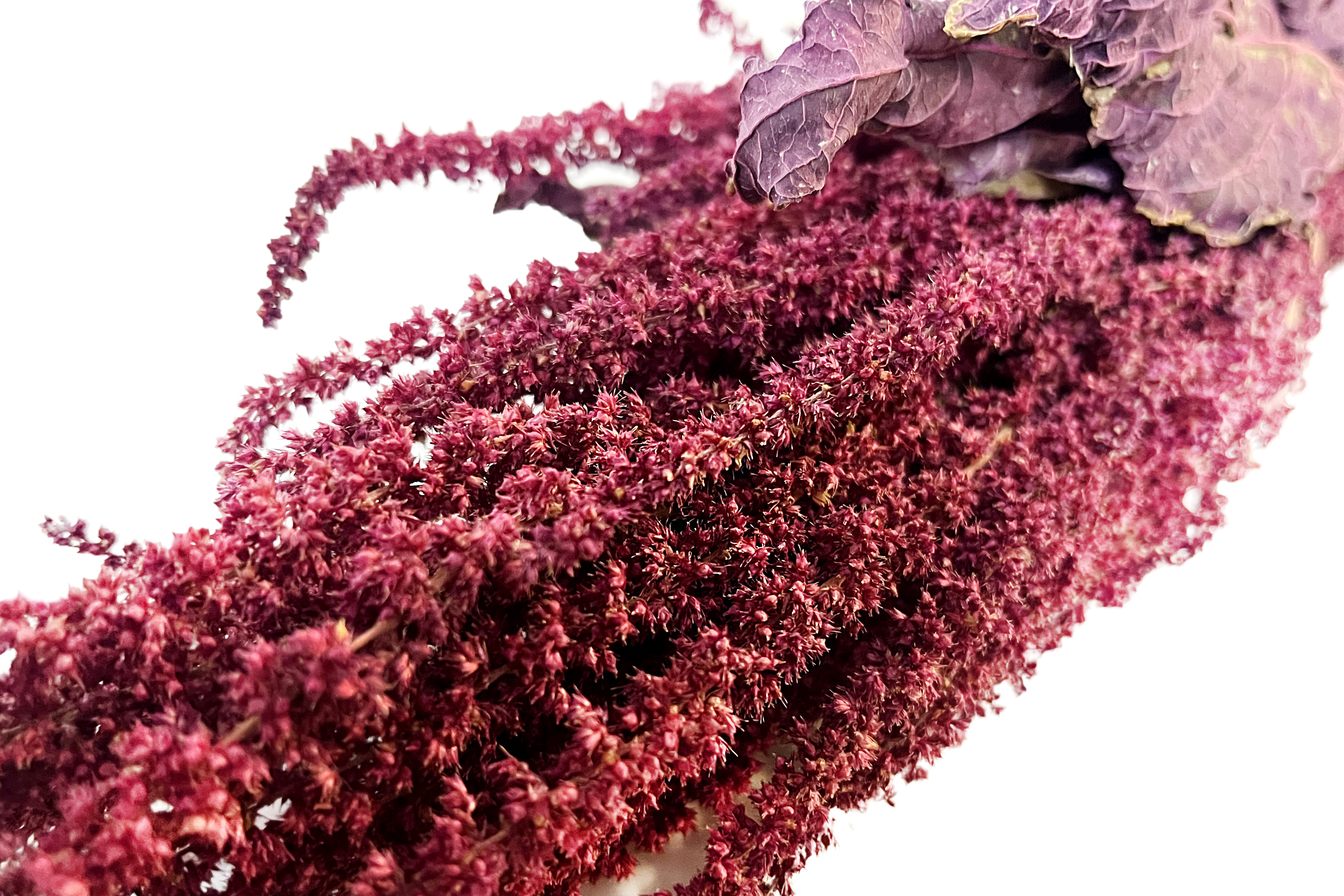 Glirex NatureBundle - Bíbor amaránt