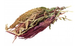 Glirex NatureBundle MixIt - Amaránt csokor