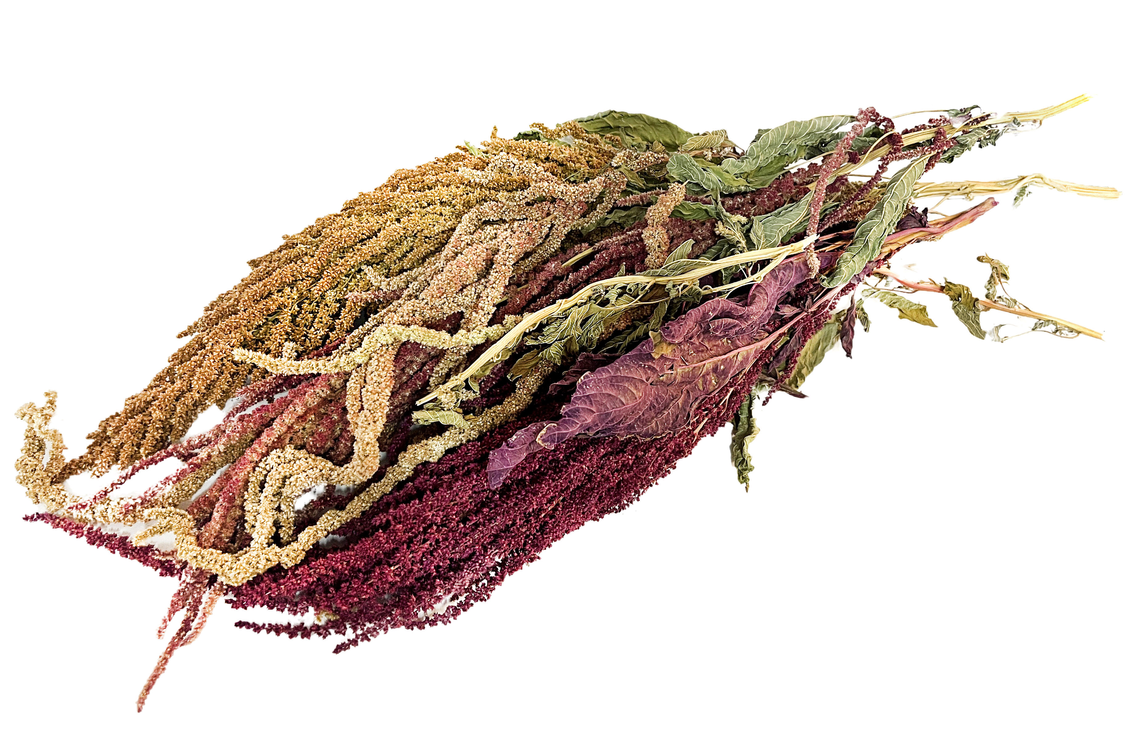 Glirex NatureBundle MixIt - Amaránt csokor