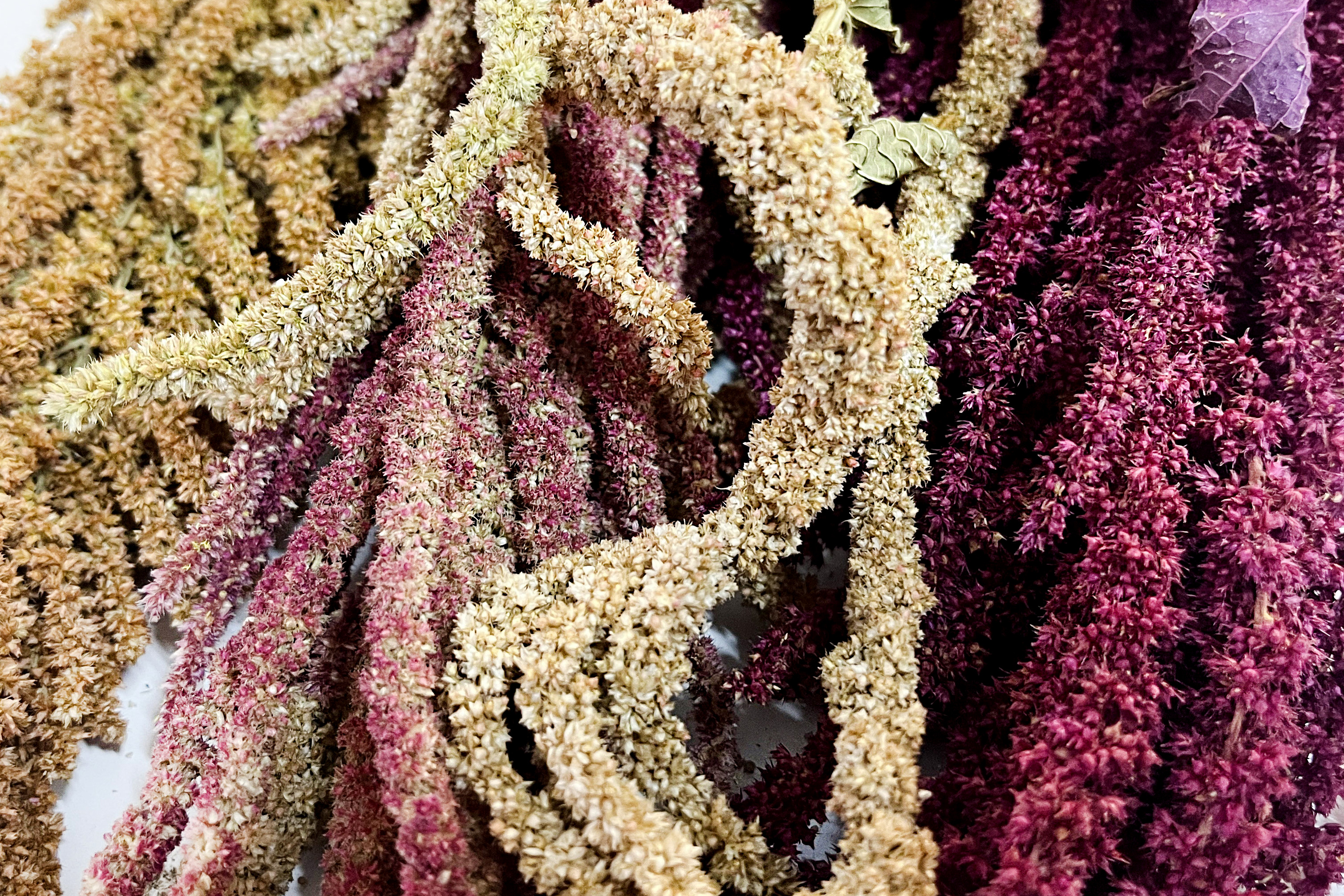 Glirex NatureBundle MixIt - Amaránt csokor