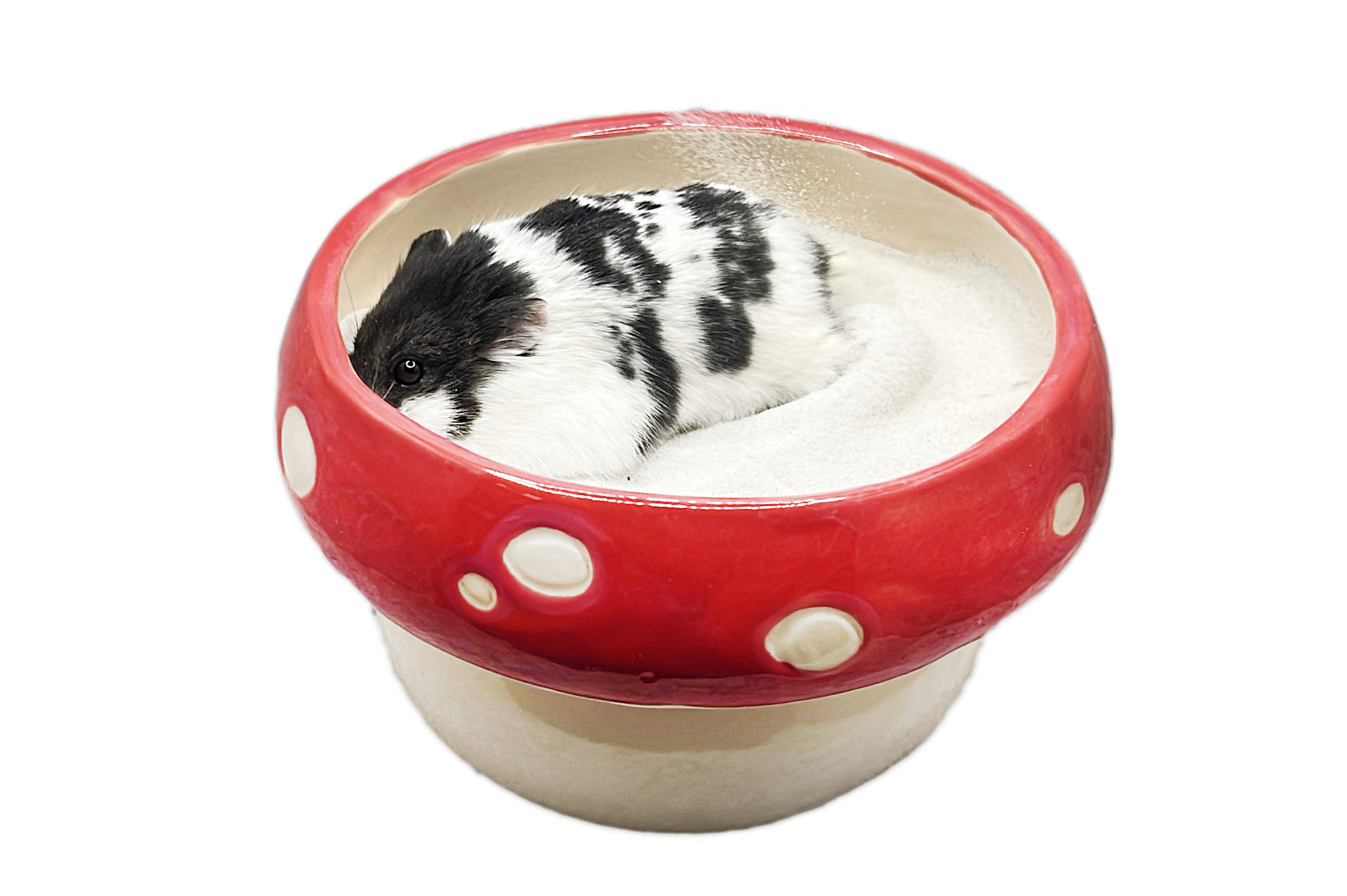 Glirex NatureSupplies - Kerámia gomba homokozó