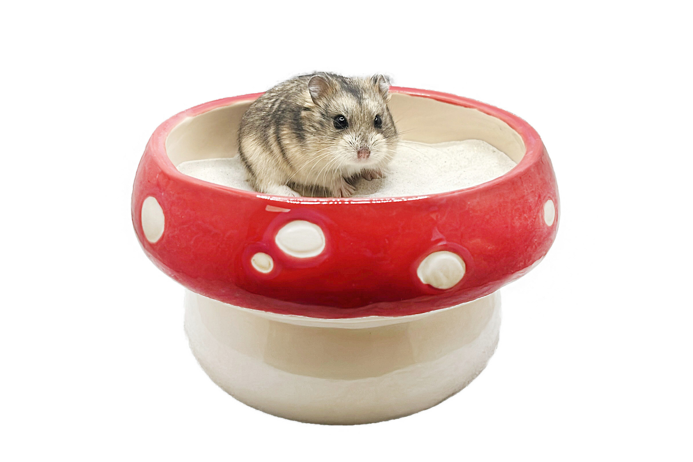 Glirex NatureSupplies - Kerámia gomba homokozó