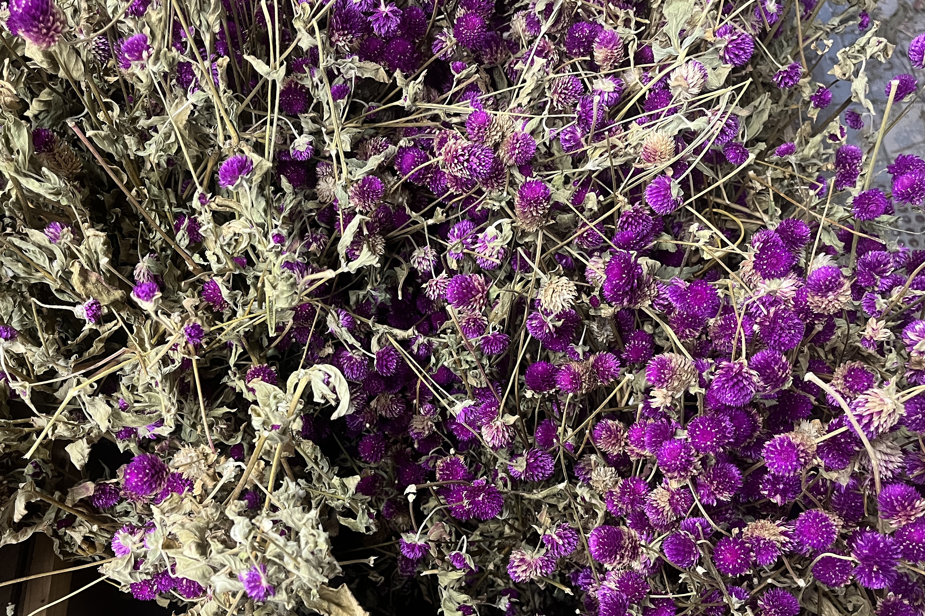 Glirex NatureBundle - Gömbamaránt (lila)