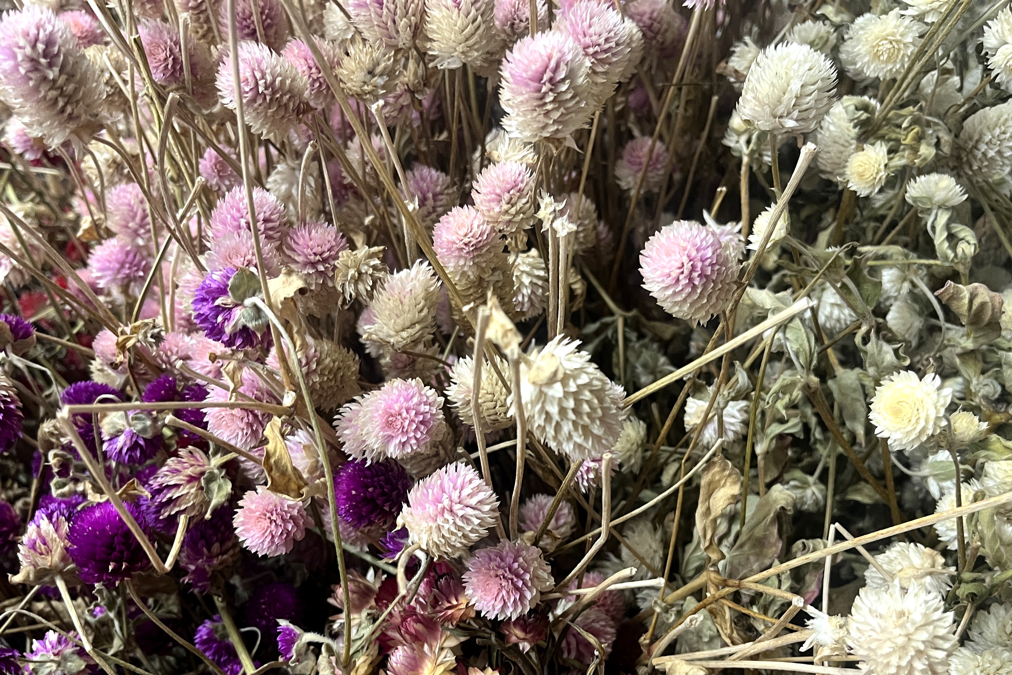 Glirex NatureBundle - Gömbamaránt (színes)