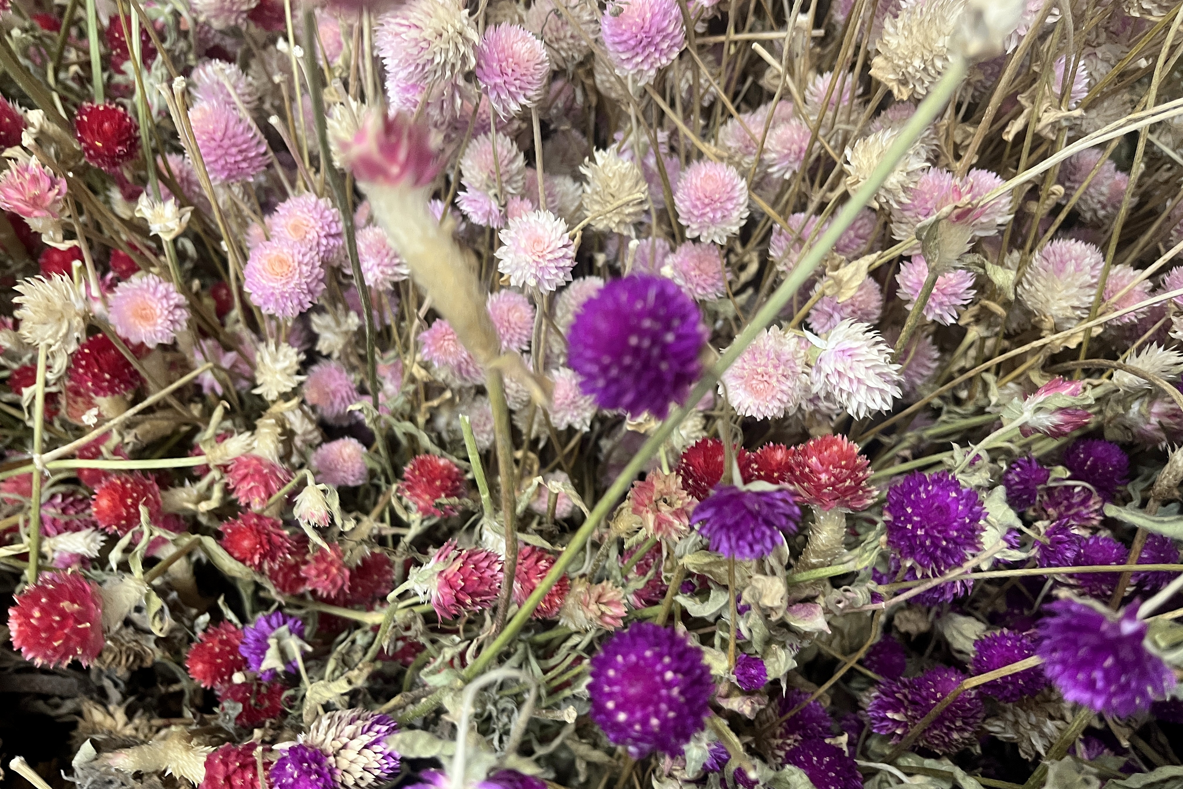 Glirex NatureBundle - Gömbamaránt (színes)