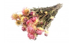 Glirex NatureBundle - Szalmarózsa (rózsaszín)