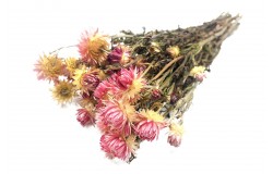 Glirex NatureBundle - Szalmarózsa (rózsaszín)