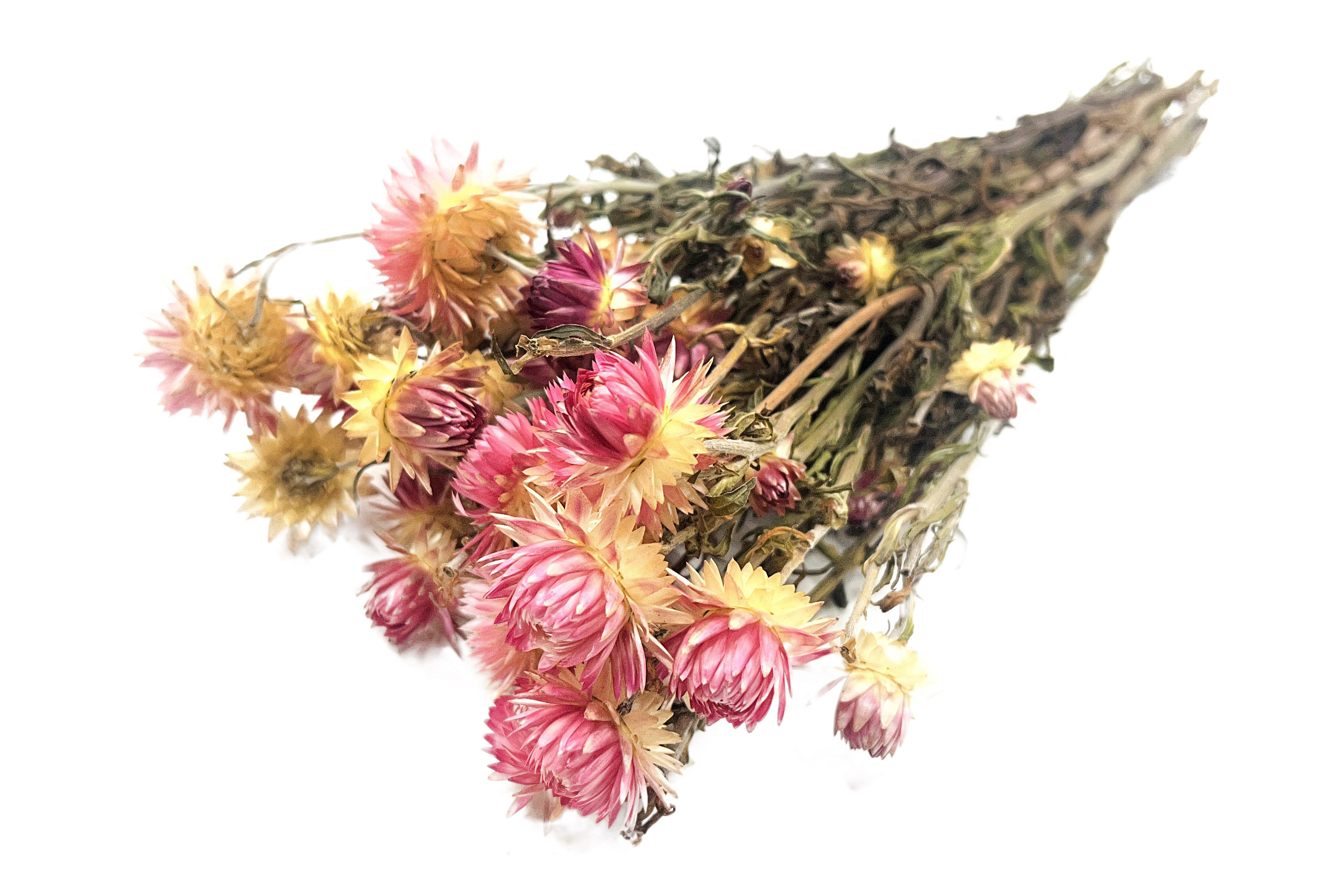 Glirex NatureBundle - Szalmarózsa (rózsaszín)