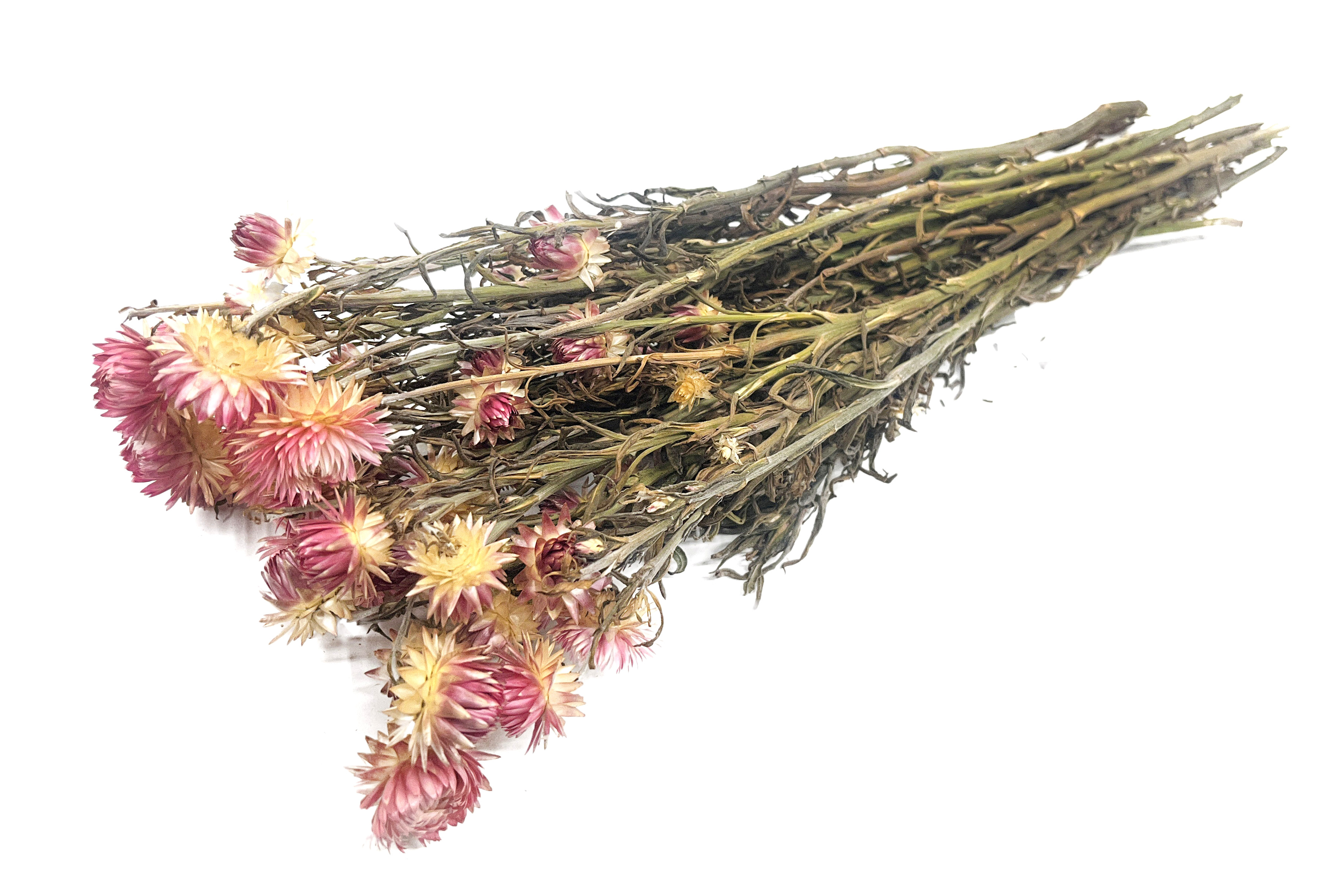 Glirex NatureBundle - Szalmarózsa (rózsaszín)