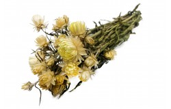 Glirex NatureBundle - Szalmarózsa (sárga)