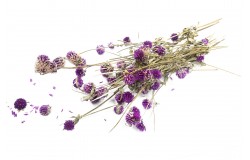 Glirex NatureBundle - Gömbamaránt (lila)