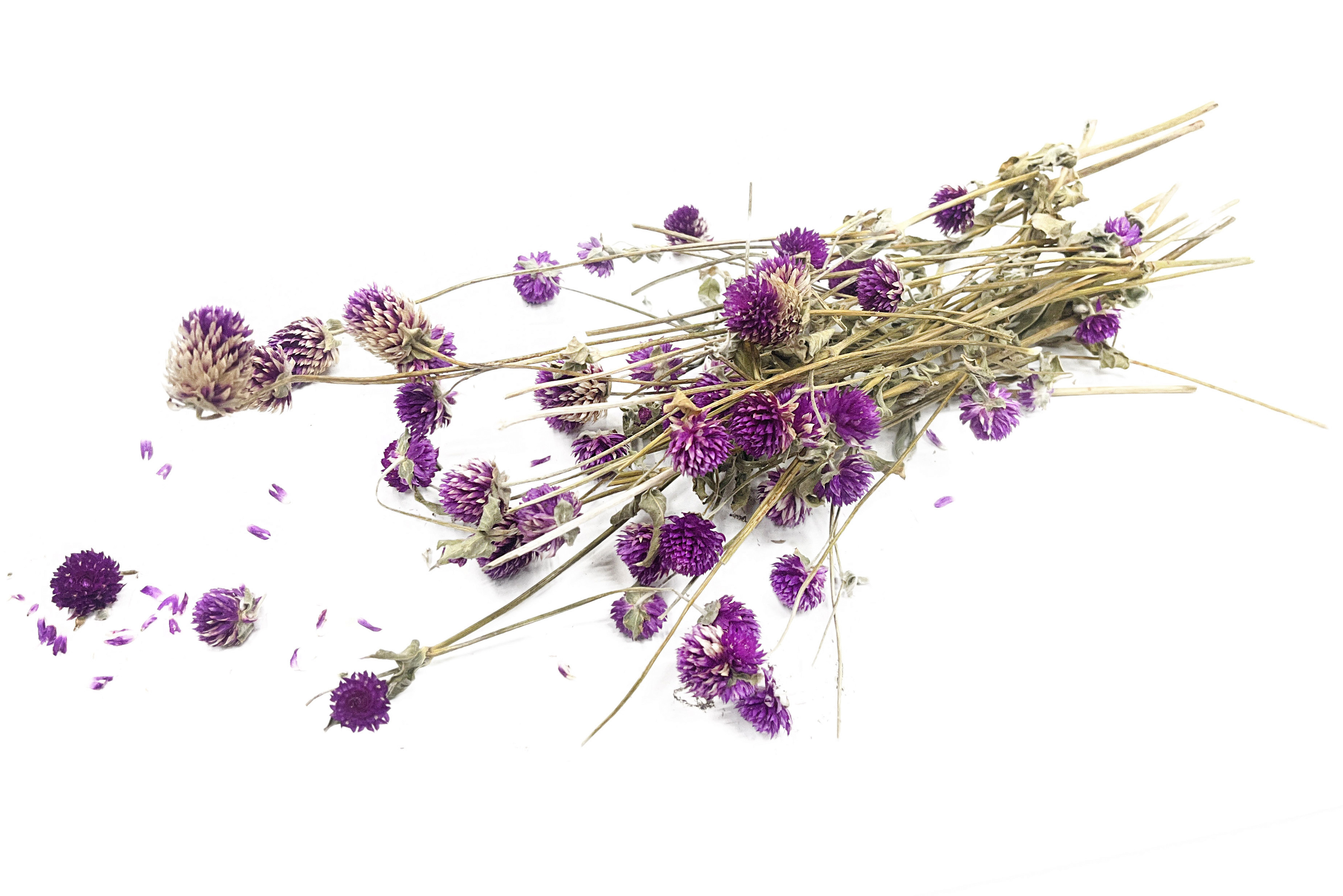 Glirex NatureBundle - Gömbamaránt (lila)