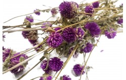 Glirex NatureBundle - Gömbamaránt (lila)