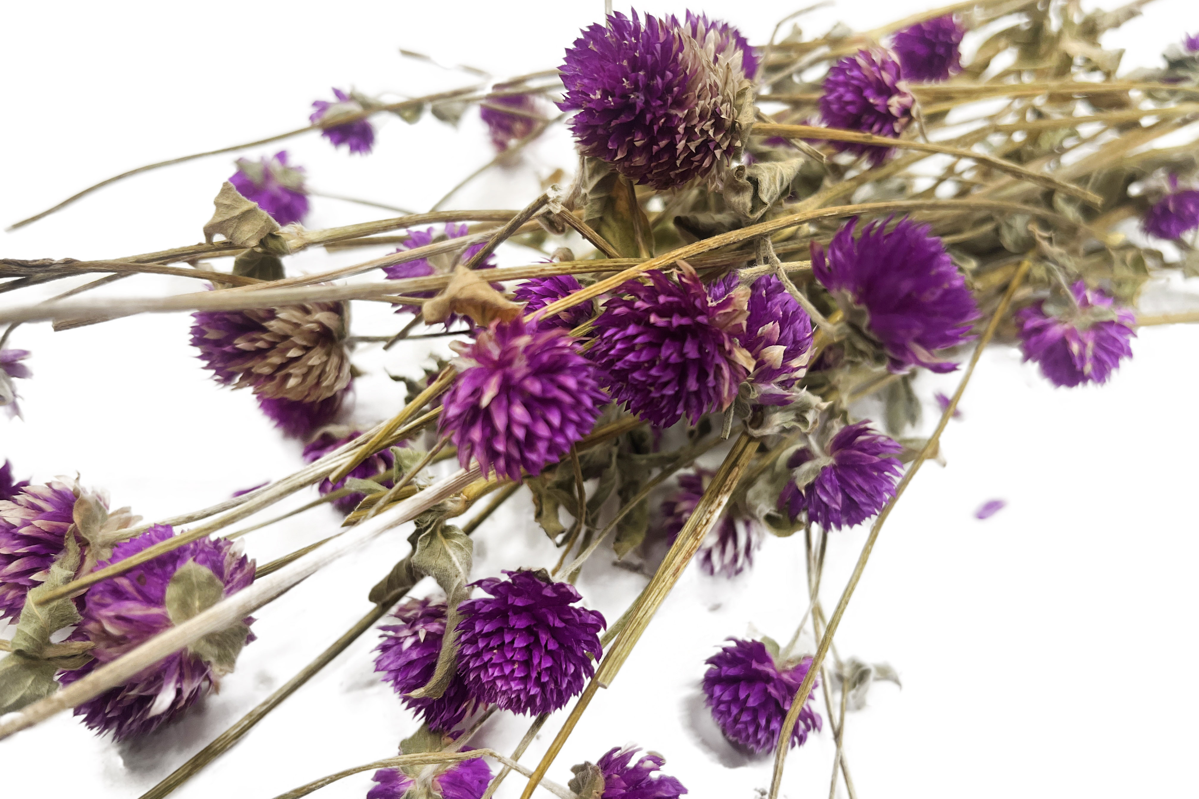 Glirex NatureBundle - Gömbamaránt (lila)