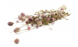 Glirex NatureBundle - Gömbamaránt (rózsaszín)