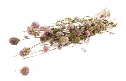 Glirex NatureBundle - Gömbamaránt (rózsaszín)