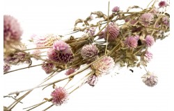 Glirex NatureBundle - Gömbamaránt (rózsaszín)