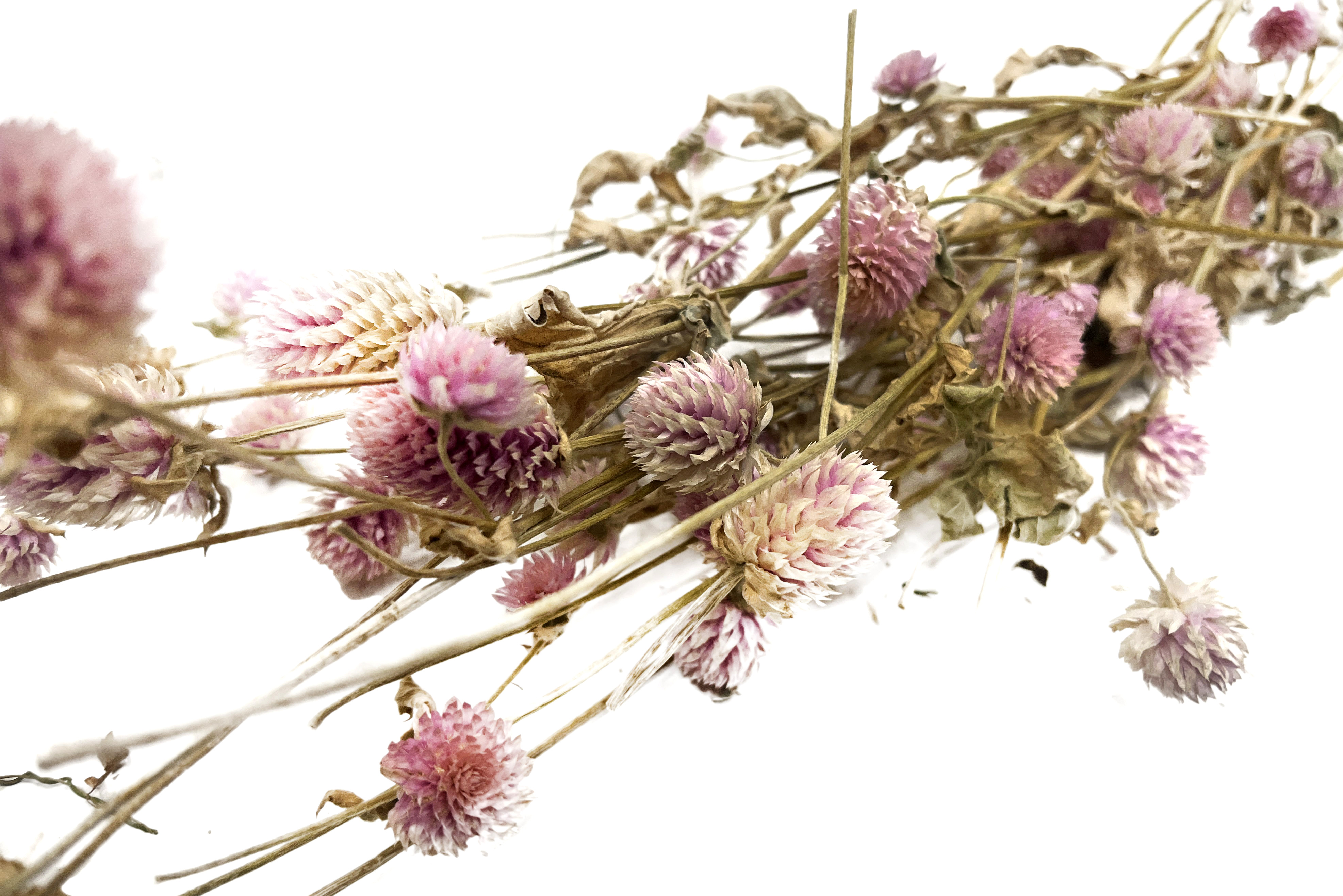 Glirex NatureBundle - Gömbamaránt (rózsaszín)