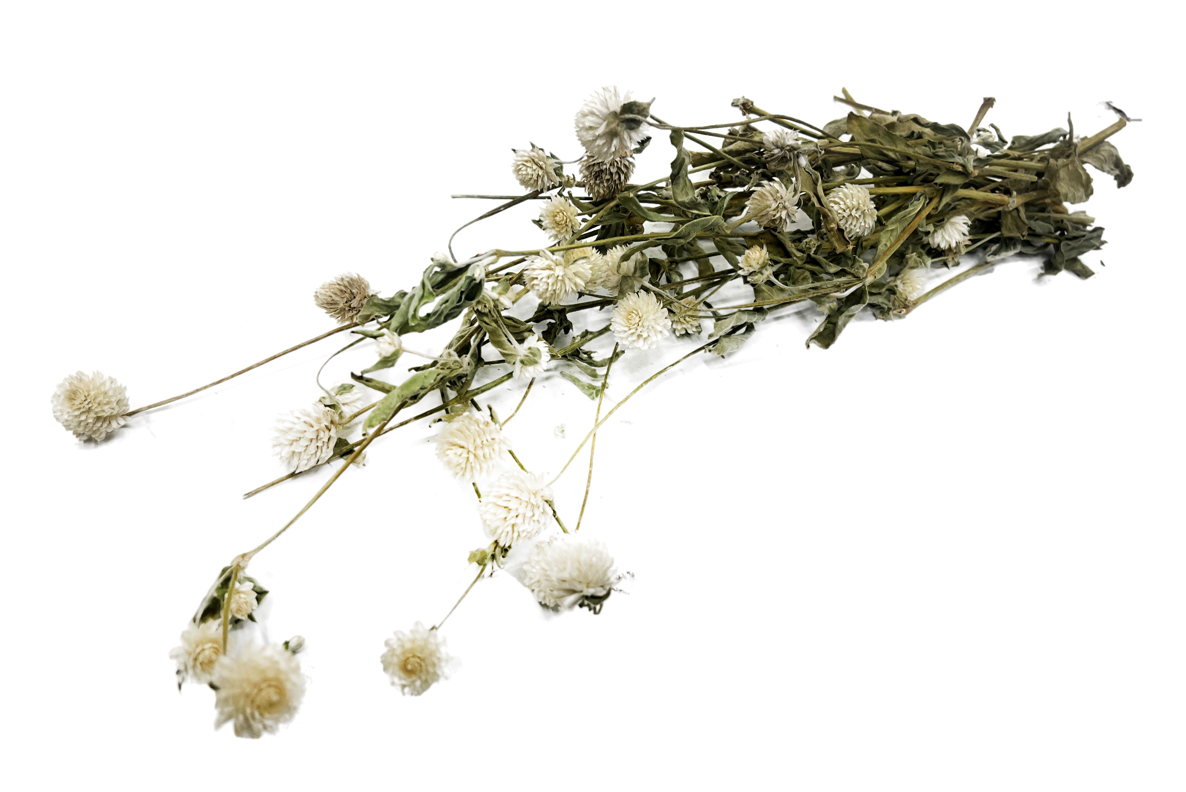 Glirex NatureBundle - Gömbamaránt (fehér)