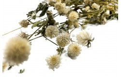 Glirex NatureBundle - Gömbamaránt (fehér)